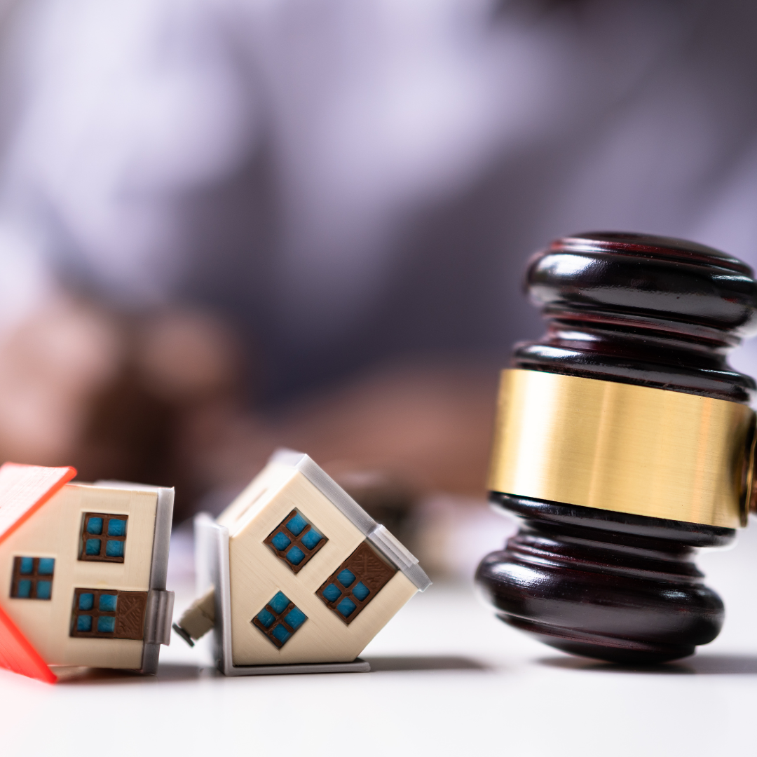 taille et distance des haies - problème de voisinage - avocat Toulon 